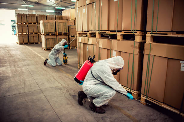 Best Pest Control Treatment  in Burlington, KY
