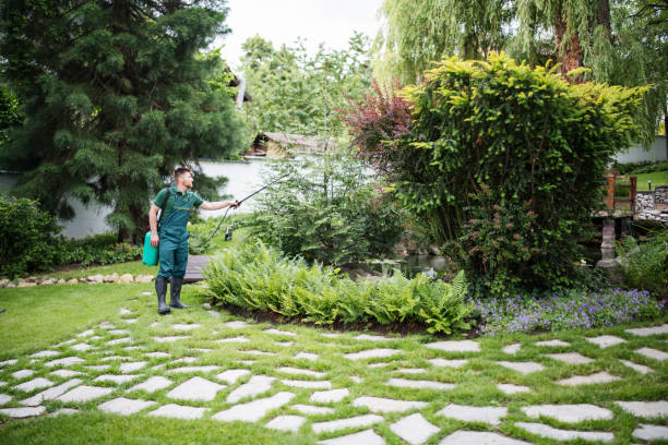 Best Affordable Exterminators  in Burlington, KY