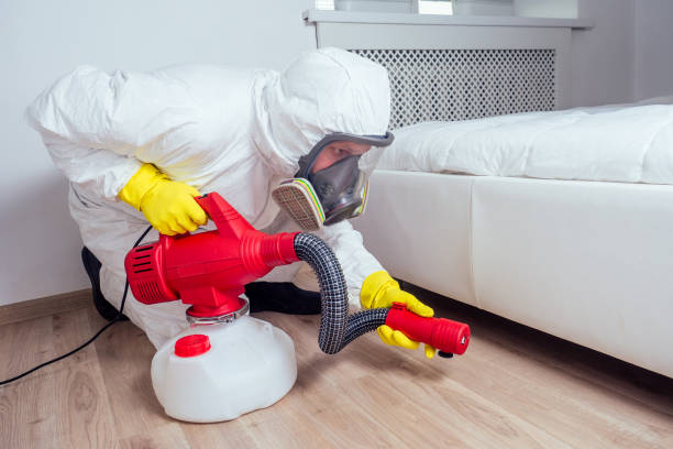 Best Affordable Pest Control Services  in Burlington, KY