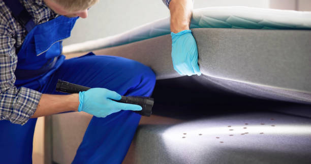 Burlington, KY Pest Control Pros