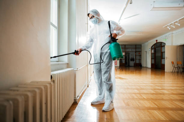 Best Insect Control  in Burlington, KY