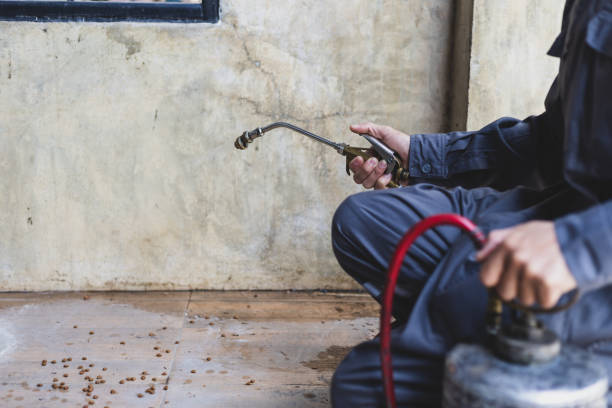 Best Affordable Pest Control Services  in Burlington, KY