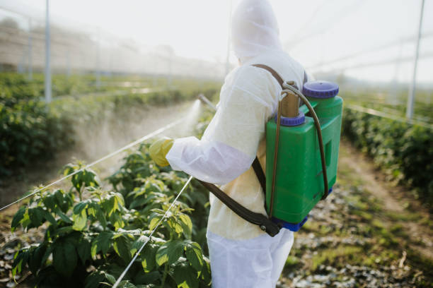 Best Best Pest Control Companies  in Burlington, KY